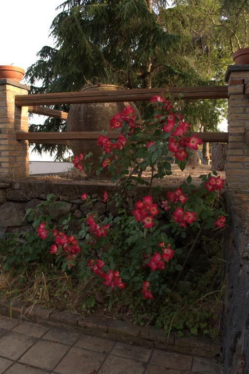 Pachamama Villa Nicolosi Kültér fotó