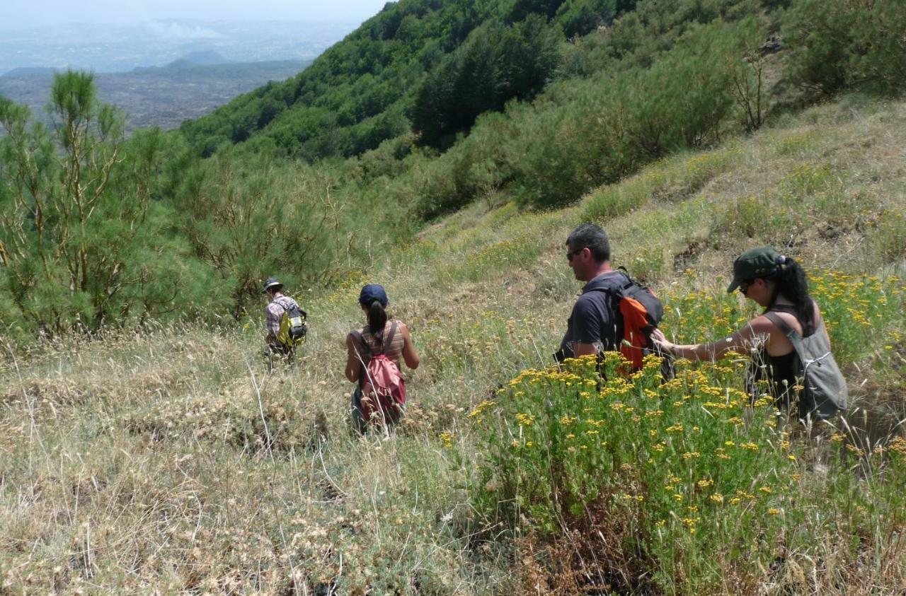 Pachamama Villa Nicolosi Kültér fotó